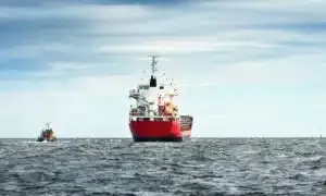 La scelta del mezzo di trasporto dipende dal tipo di oggetti da trasportare, dalla quantità e dalla distanza da percorrere